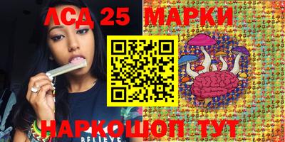 гидра Будённовск