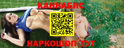 гидра Будённовск