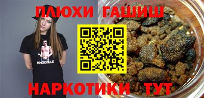 гидра Будённовск
