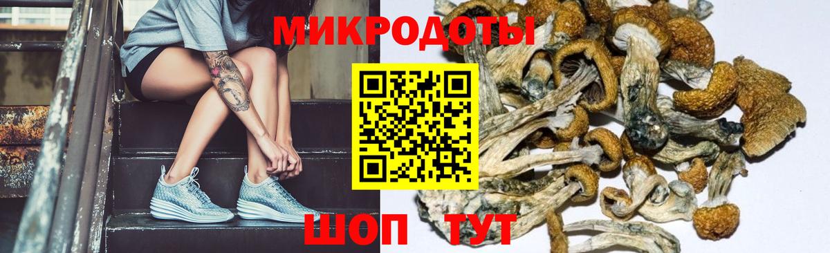 Галлюциногенные грибы GOLDEN TEACHER  Вход с VPN  Шахты 